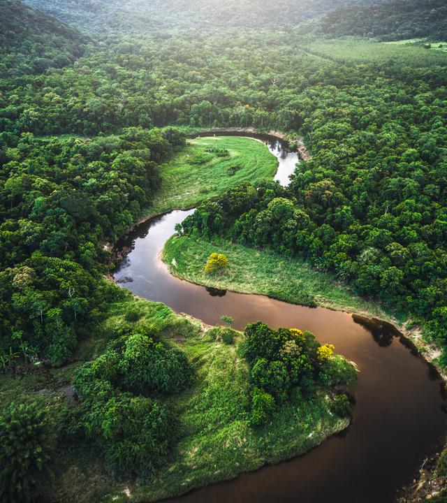 Der Flusslauf des Amazonas schlängelt sich durch ein von Regenwald bewachsenes Tal in Brasilien