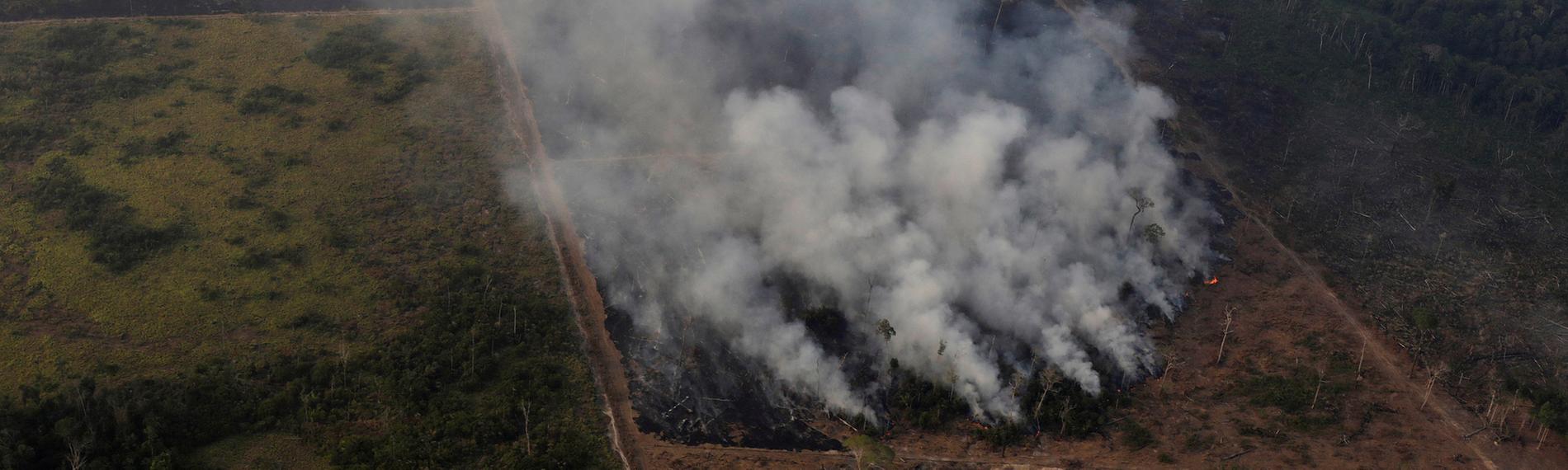 Archiv, Brasilien, Porto Velho: Flächenbrand im Regenwald von Amazonas.