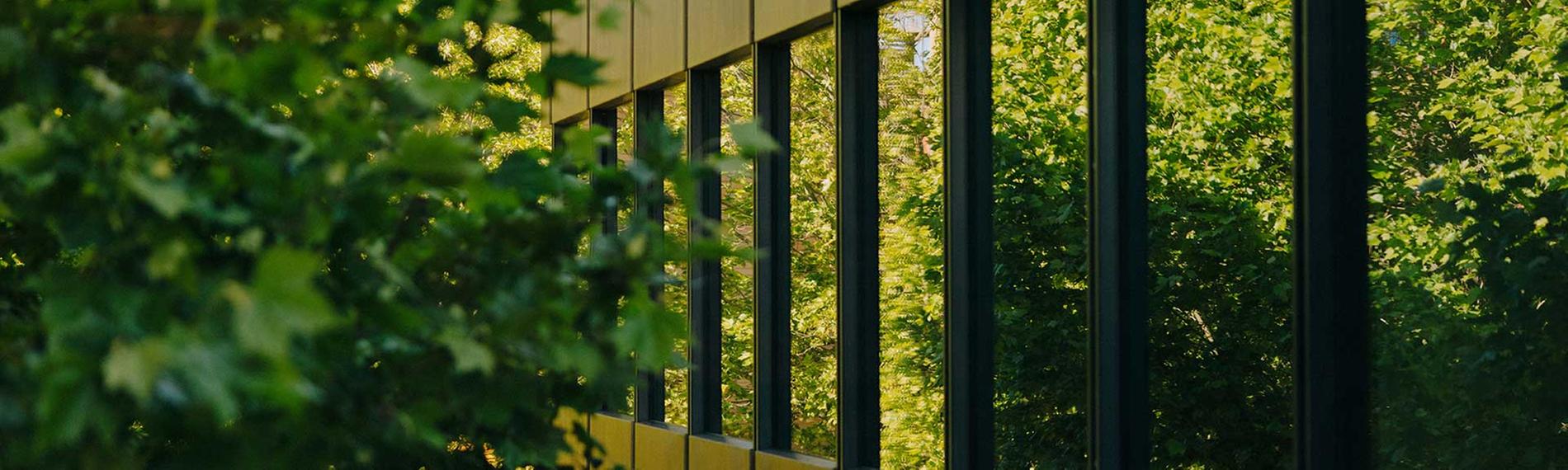 Laub und Bäume spiegeln sich in den Fenstern eines Gebäudes auf dem ZDF-Gelände des Mainzer Lerchebergs.